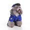 Edge Collections - 12" x 10" - Blue - Pet Life Police Dog Costume Uniform - 2-piece